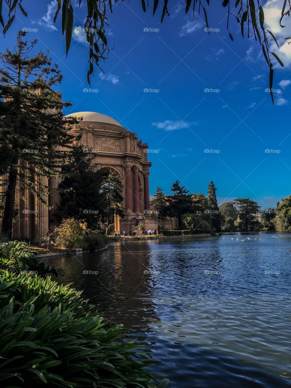 Palace of Fine Arts 