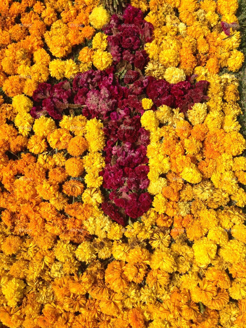 Mexico dia de muertos. Halloween.  Cross. Flowers. Skull skeleton