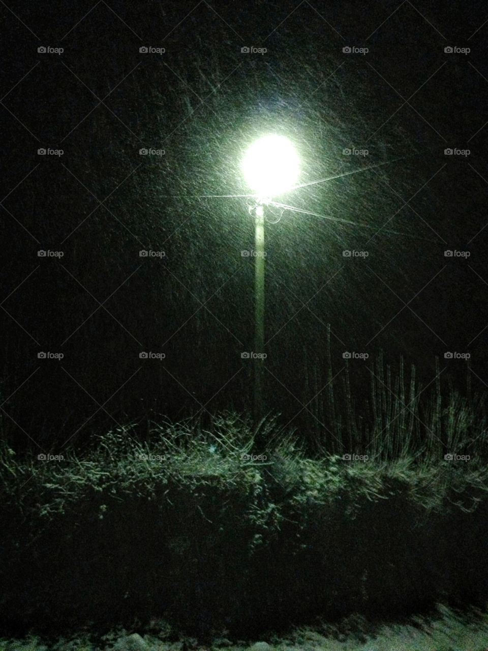 cold snow winter light by elektroseb