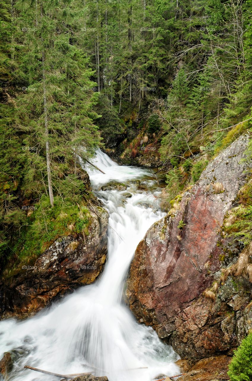 waterfall in mountain forest