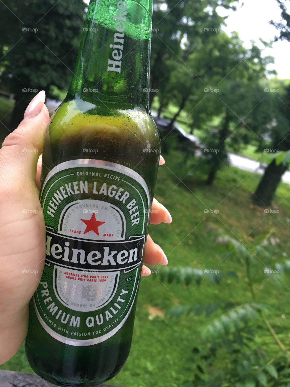 Beer&green