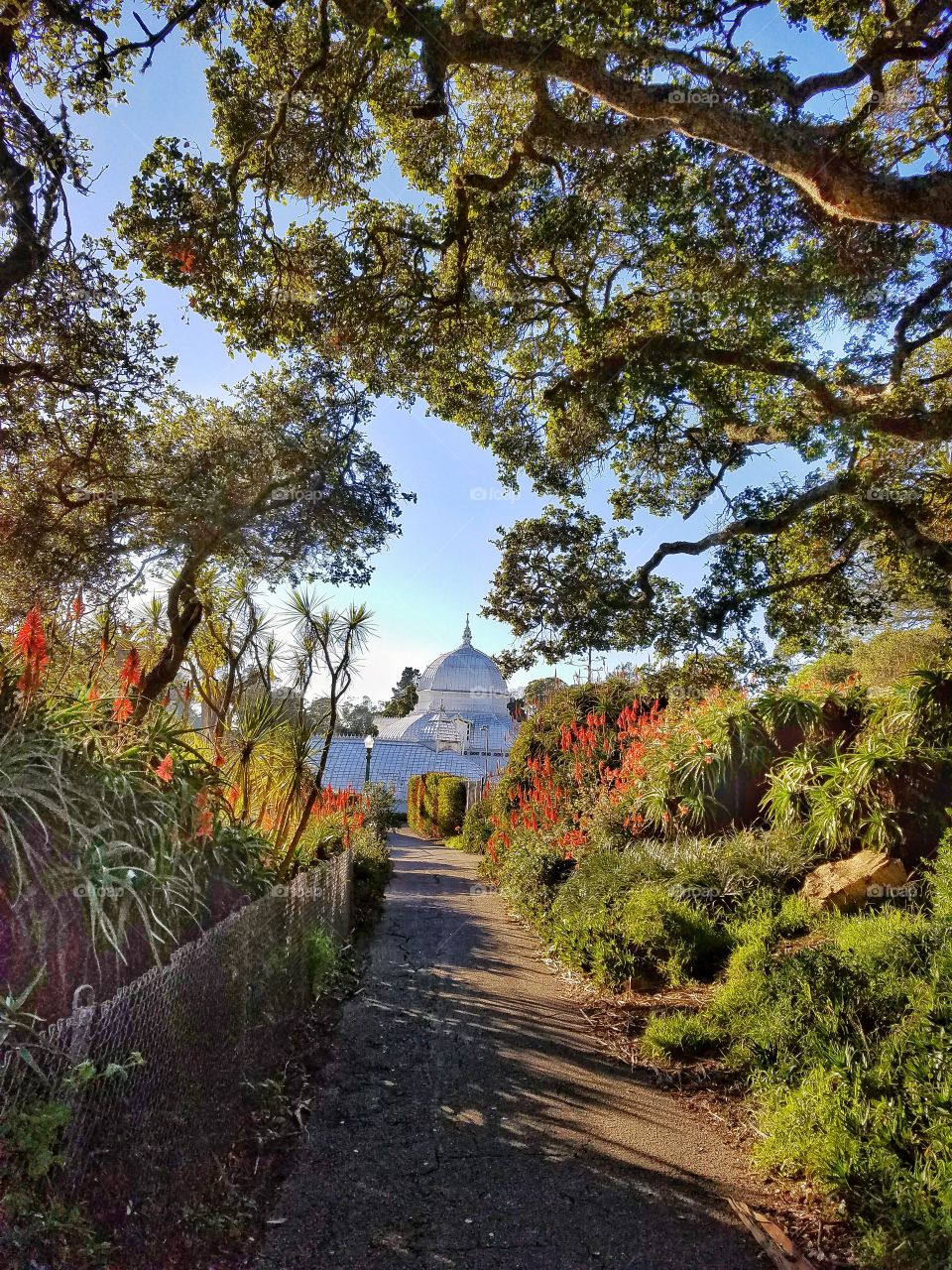 Conservatory of flowers