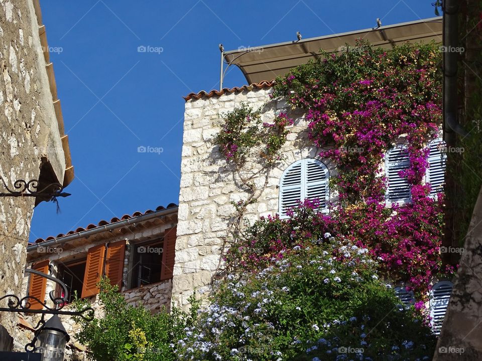 Brick building with cascading plants