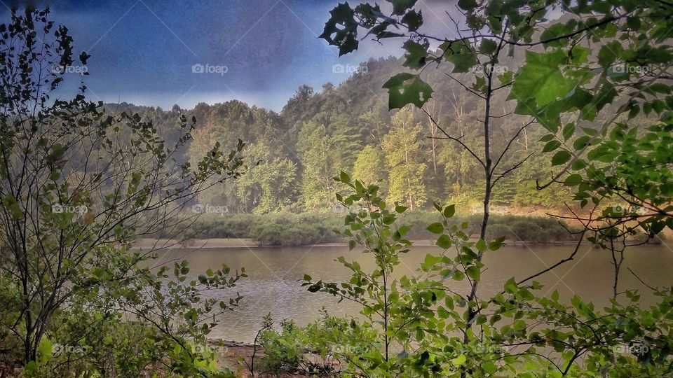 Lakeside wilderness view