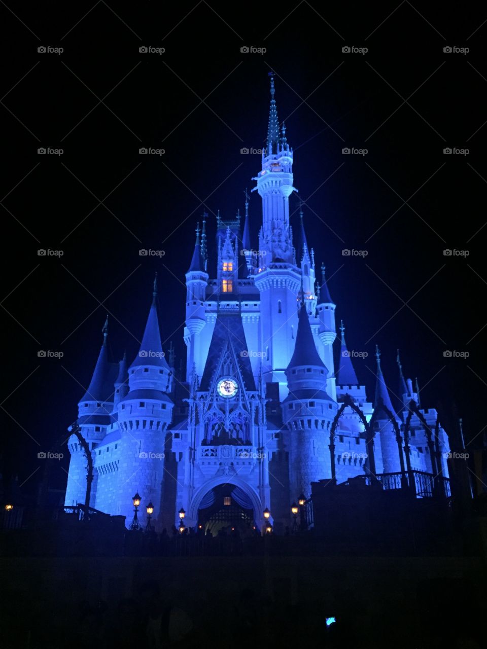 nighttime castle 