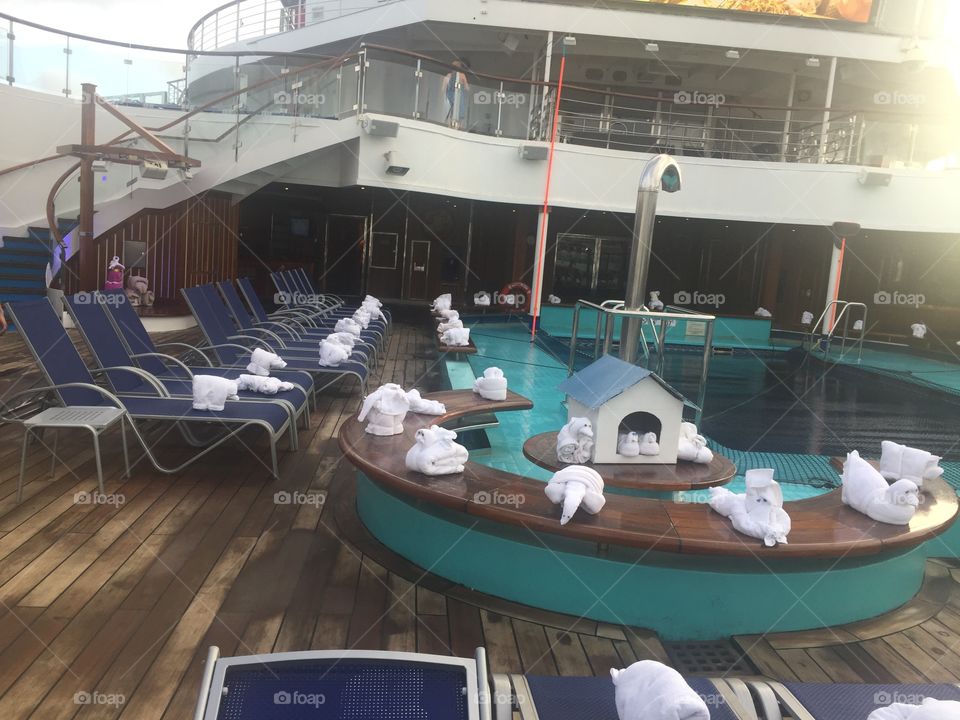Cruise ship towel animals