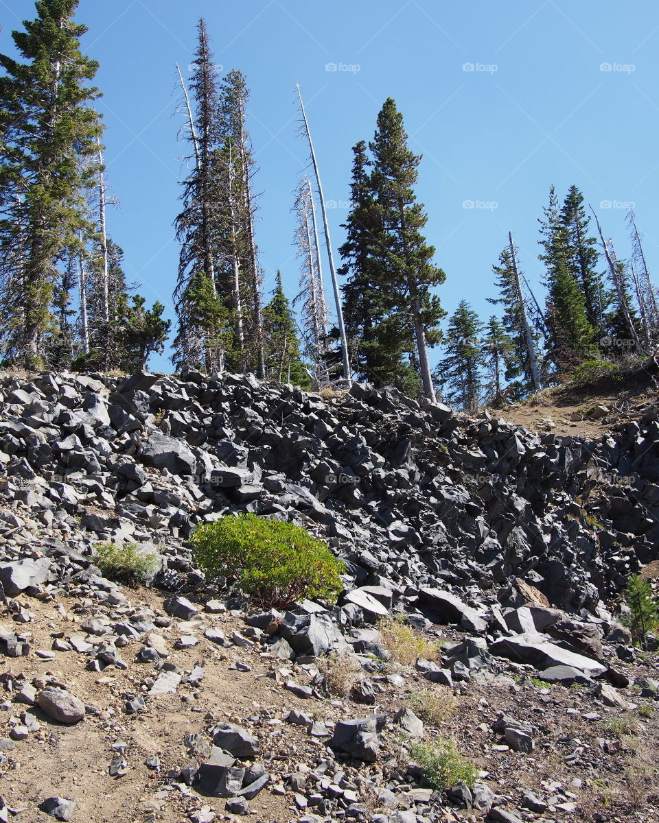 View of rocks on hill