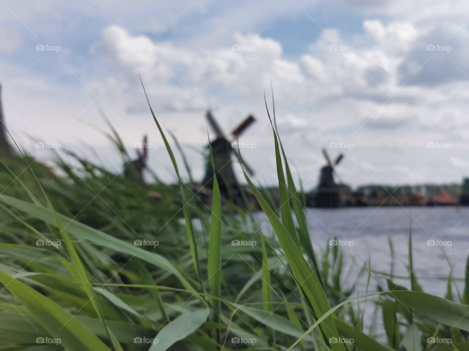 Windmills in Zaanse Schans, Netherlands