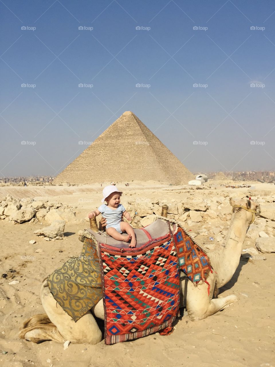 Little baby boy sit on camel near pyramids,  male hiding hands hold him 