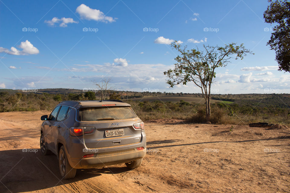 Winter in the Caatinga in Brazil, cold and without rain.  Extremely dry dirt road.