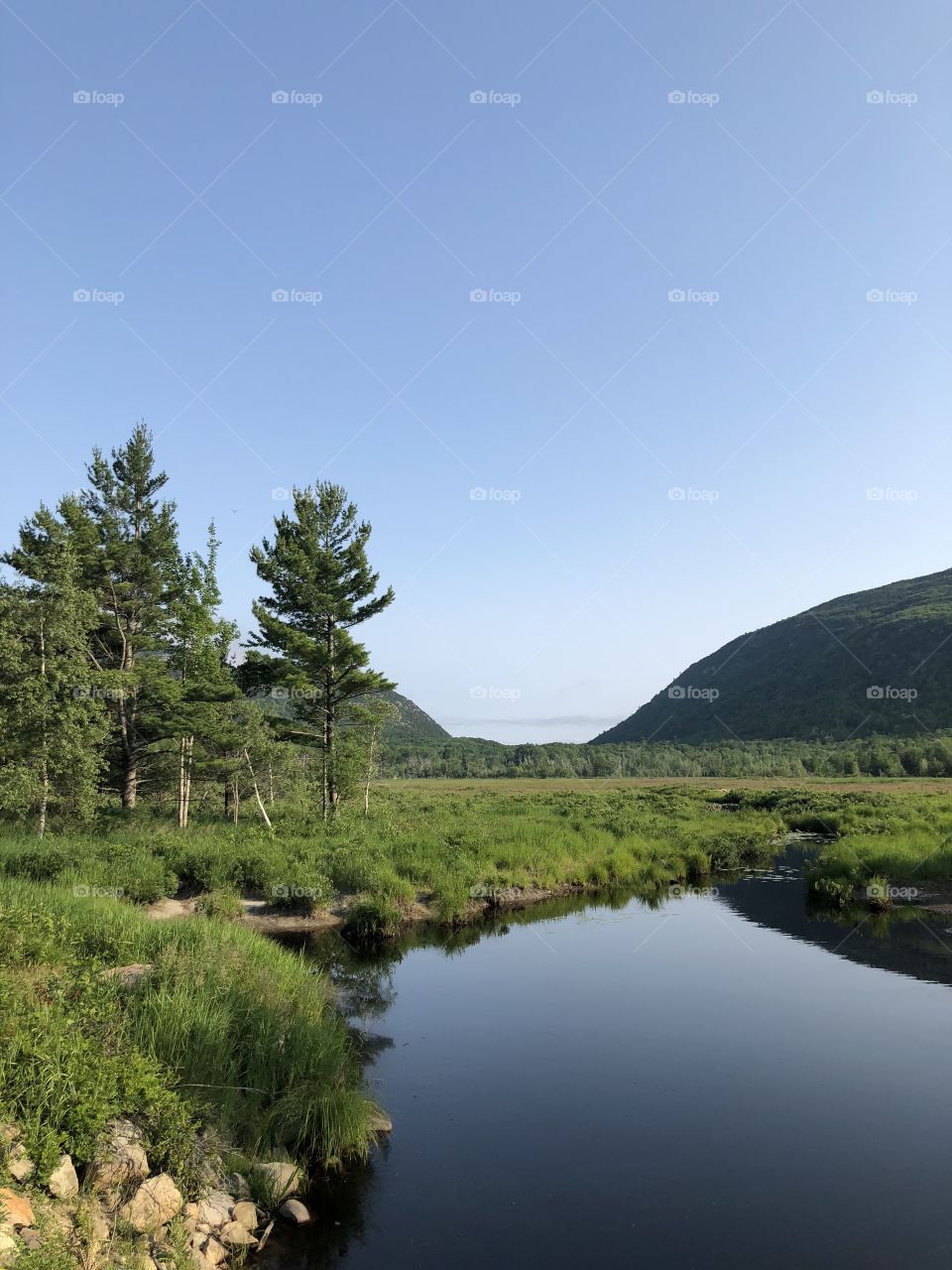 Scenic landscape of green grass and trees surrounding a lake or river in a valley situated between hills and mountains in Acadia National Park in Bar Harbor, Maine USA 