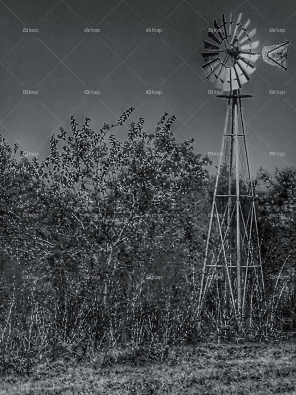 Windmill 