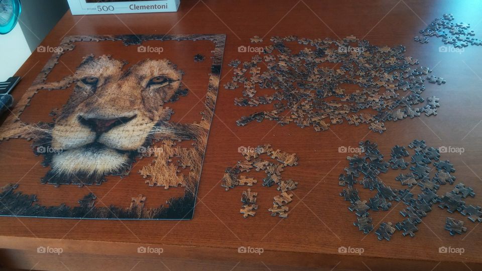 Lion puzzle . Lion puzzle