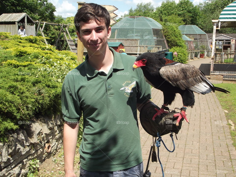 Bird On A Glove