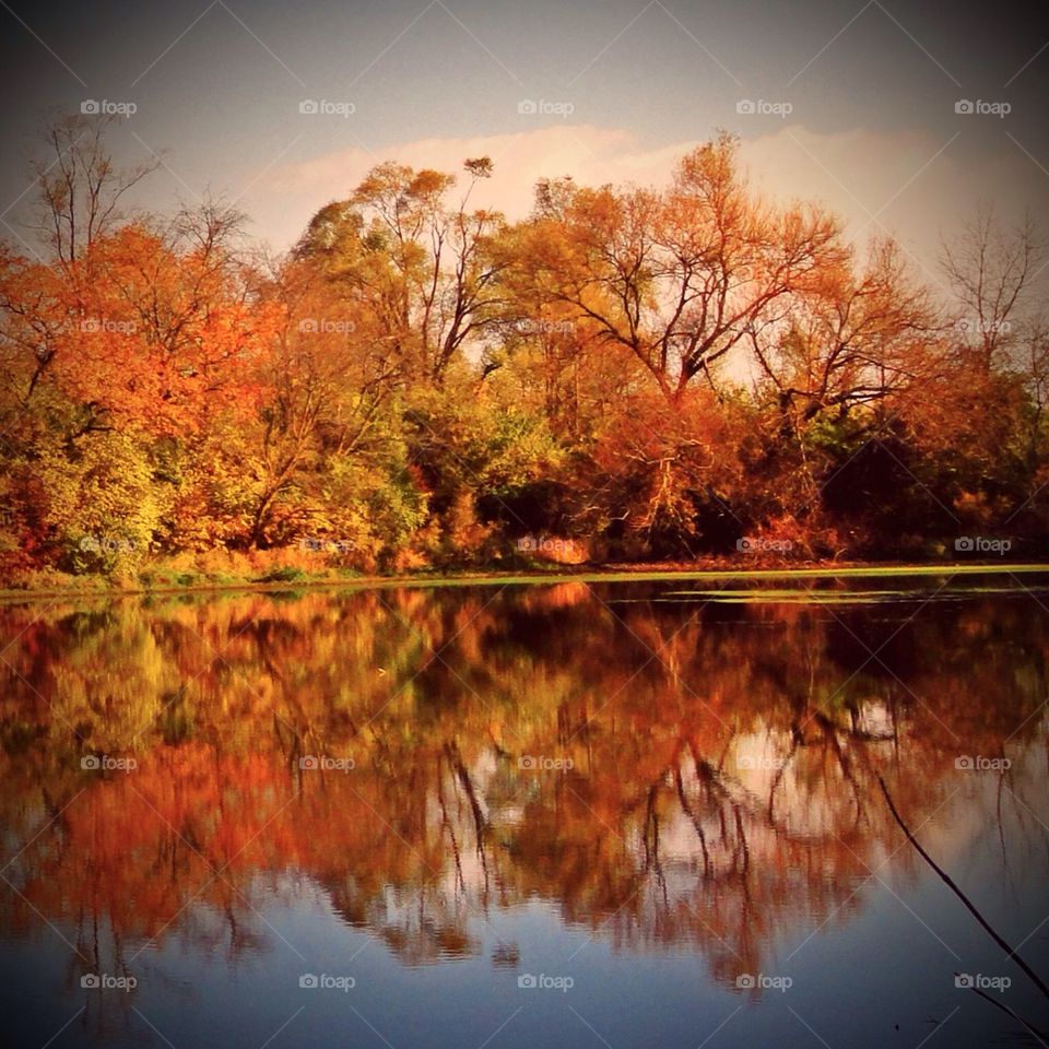 Autumn reflection 
