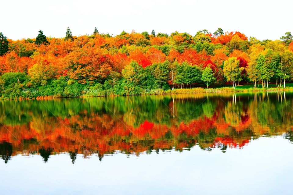 Beautiful autumn colours 