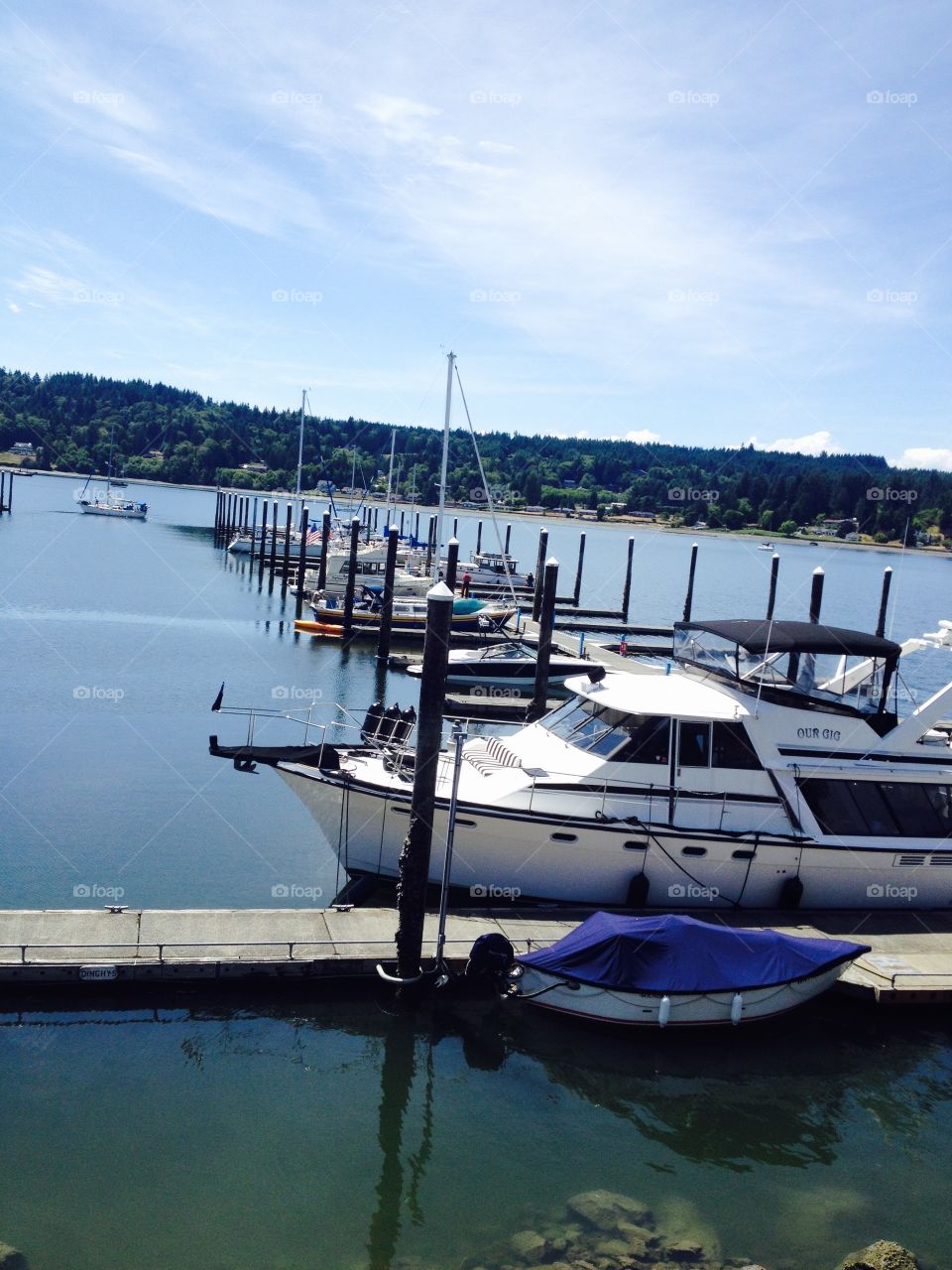 Boats. Sailboats docked on Lake Union