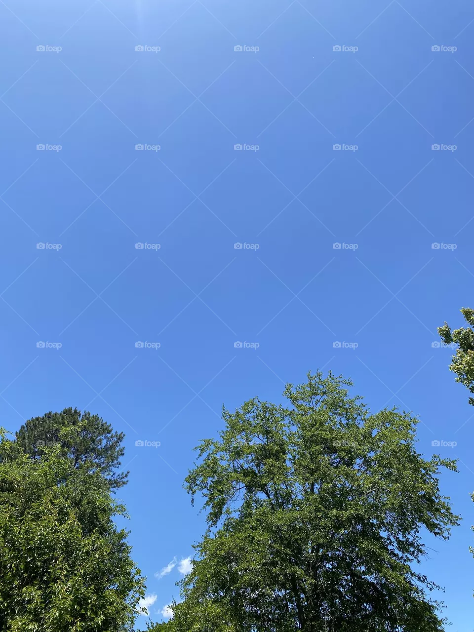 Beautiful blue sky 