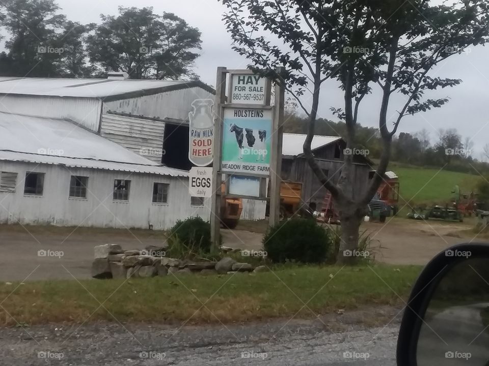 farm in Connecticut