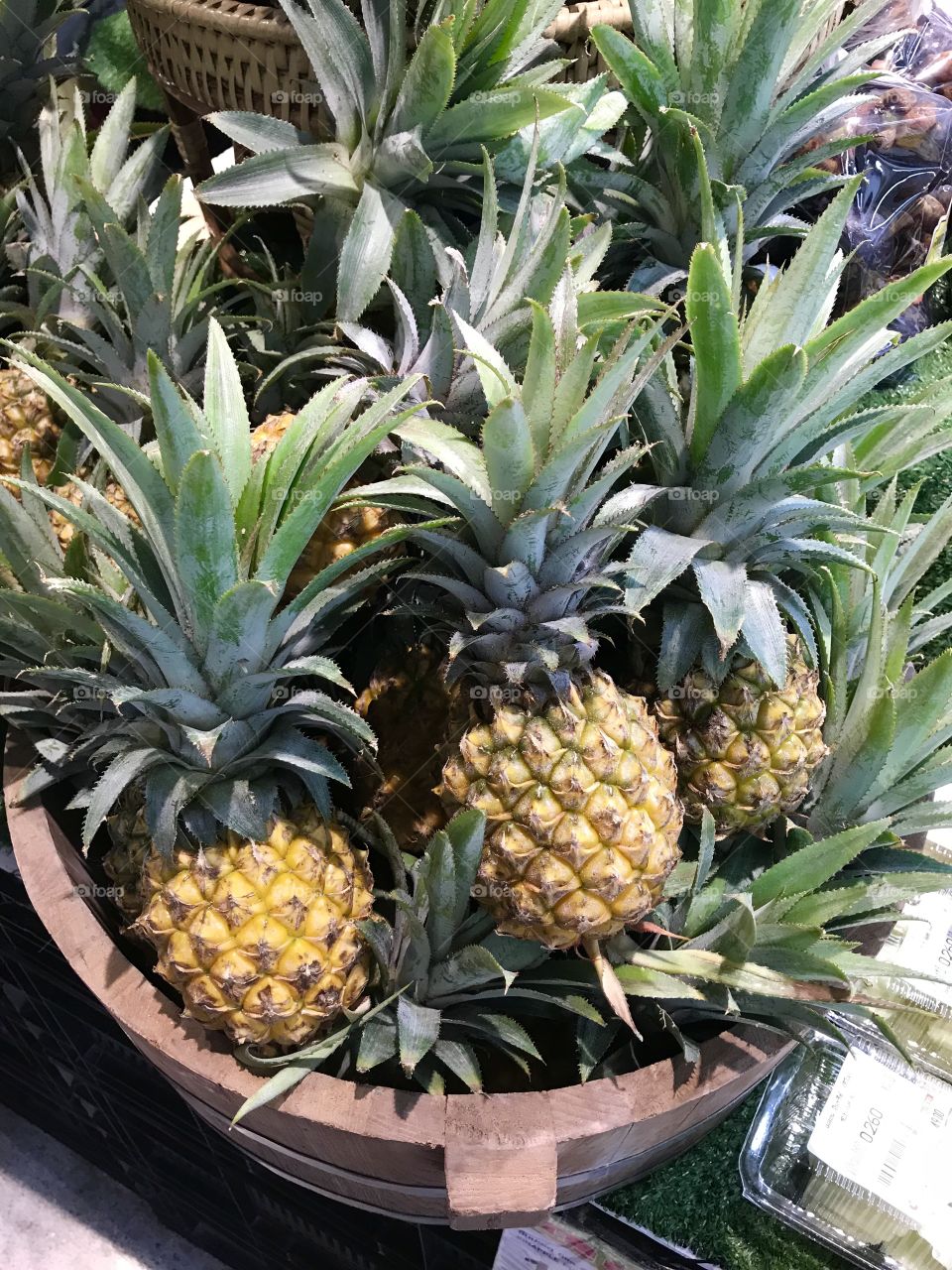 Phulae pineapples