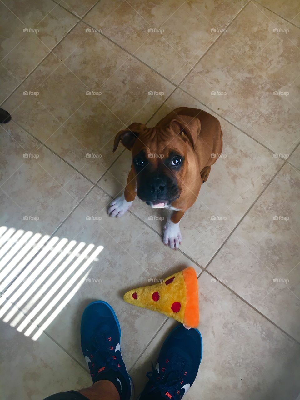 Puppy dog eyes & a slice of pizza. 