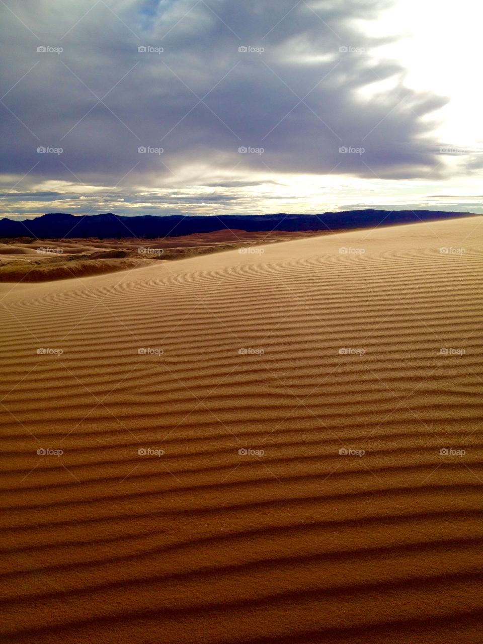 View of sand dunes