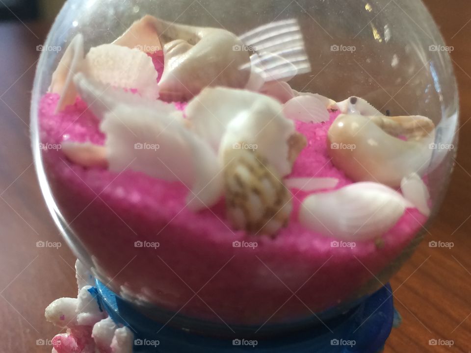 Pink sand and baby shells 
