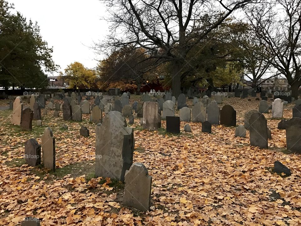 Cemetery 