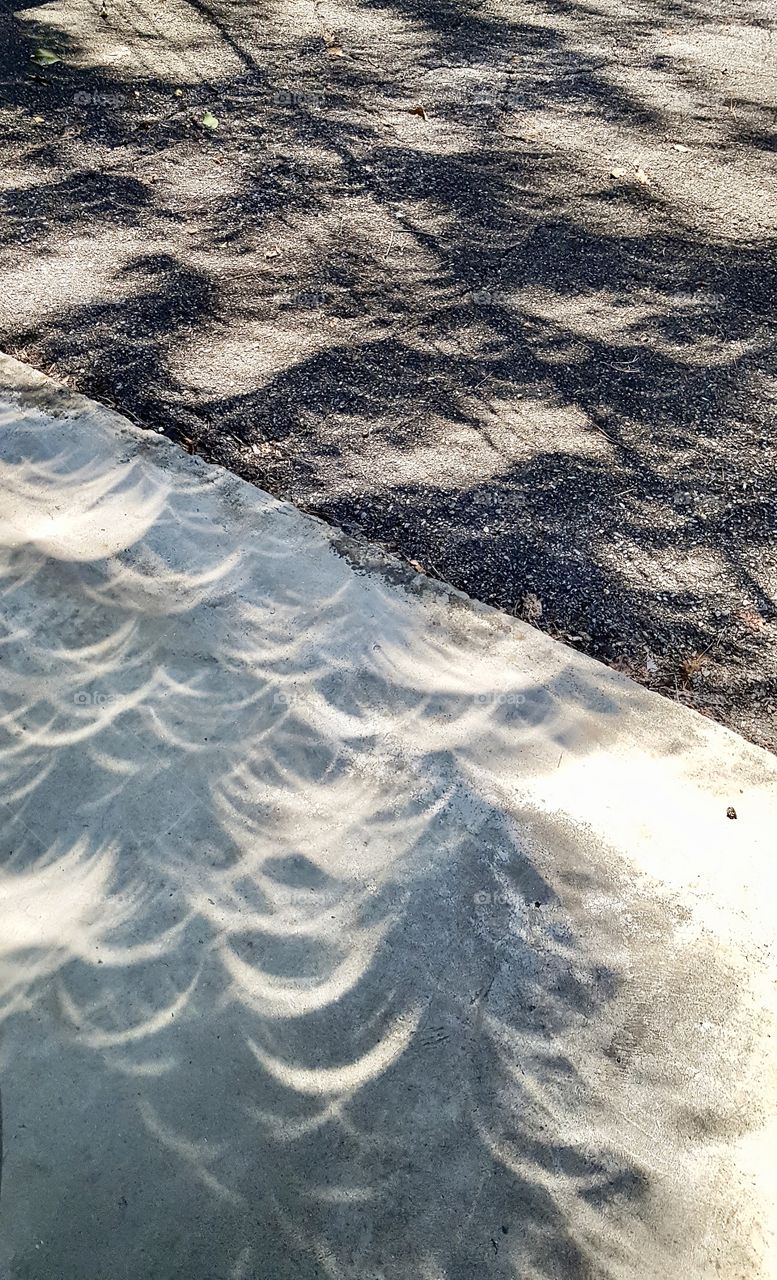 Dappled sunlight becomes crescent shaped during eclipse
