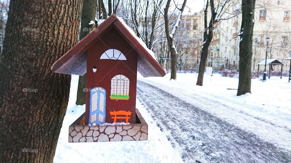 Little house - home for birds in winter