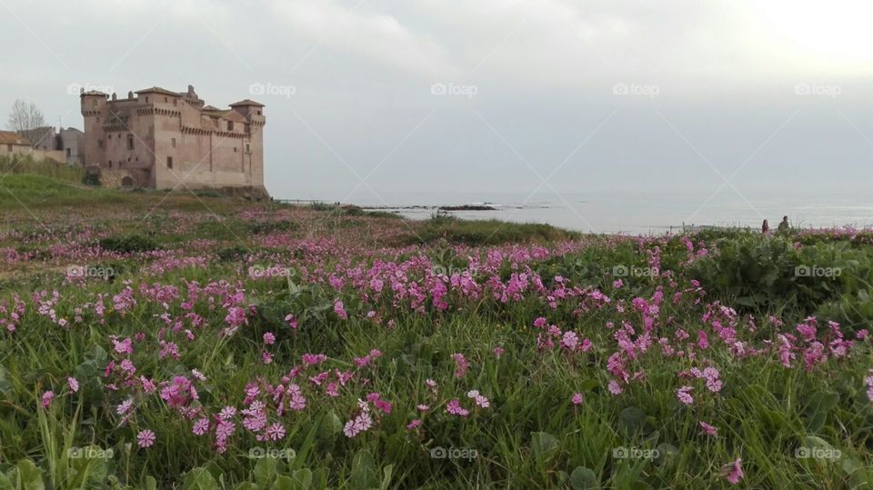 Santa Severa's castle