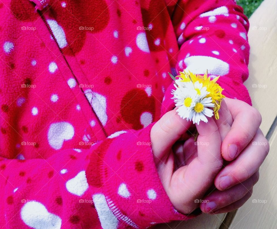 Darling photo of little girl in bright heart covered sweatshirt holding small yellow and white flowers picked for her Mom. 