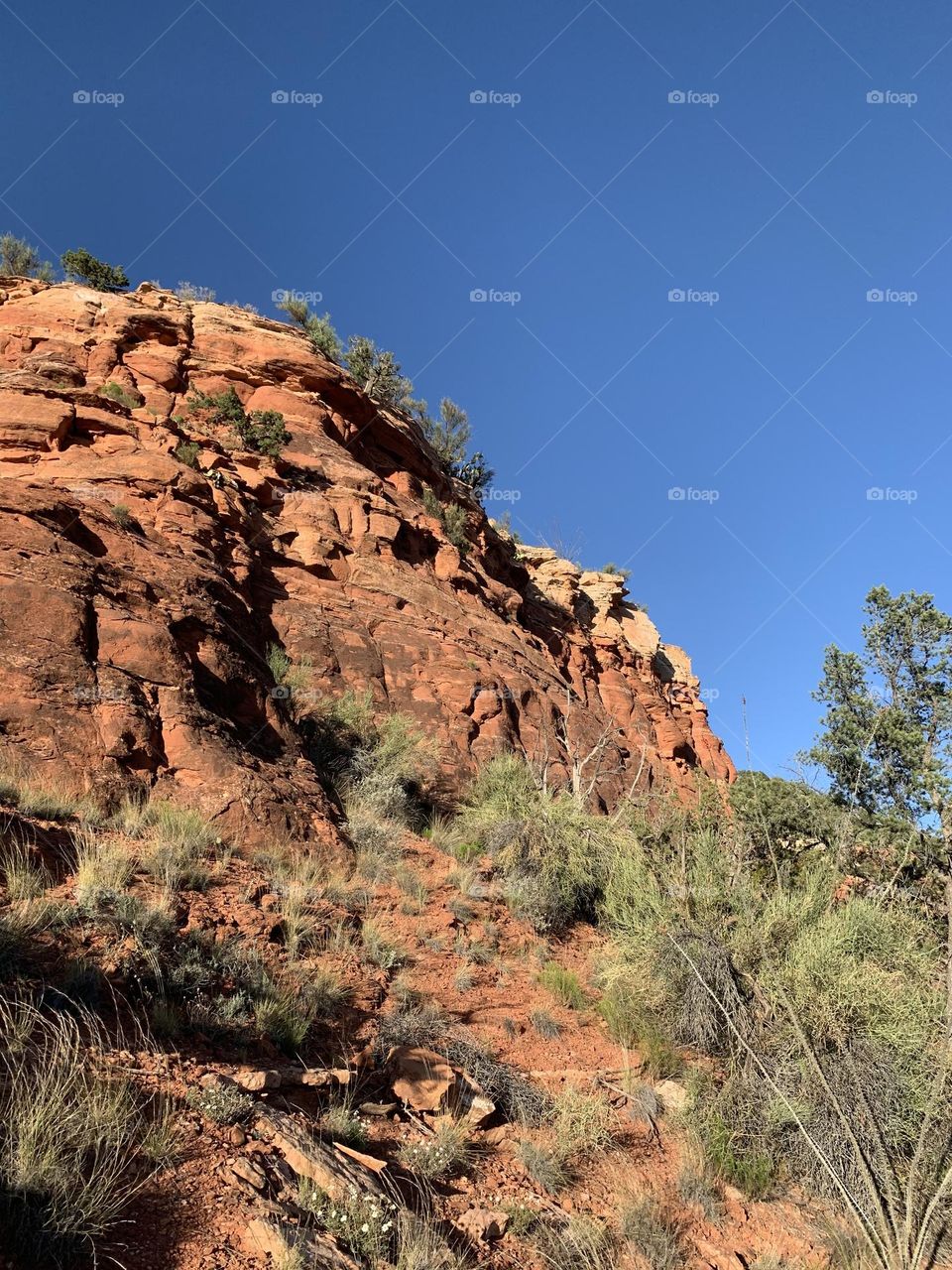 Inspiration and joy.