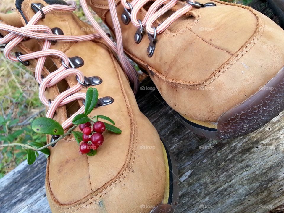 I prefer to go hiking in the forest instead of following existing broad hiking path. 