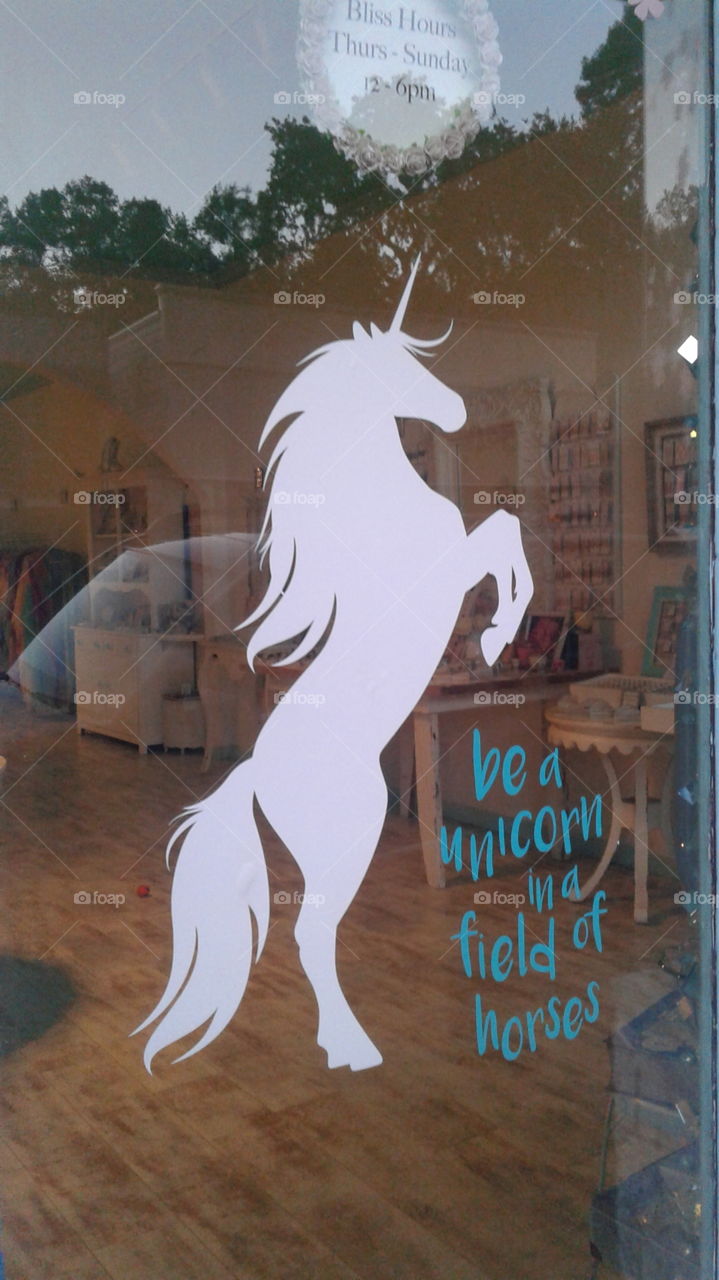 be the unicorn