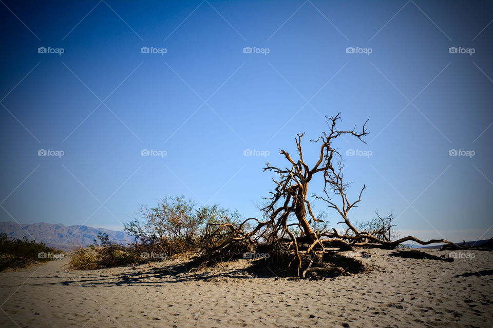 Mesquite Sand dunes, Death Valley