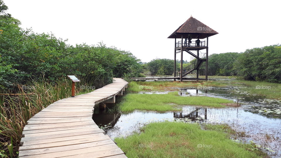 Daytime at Beddagana Wetland Park in Sri Lanka.