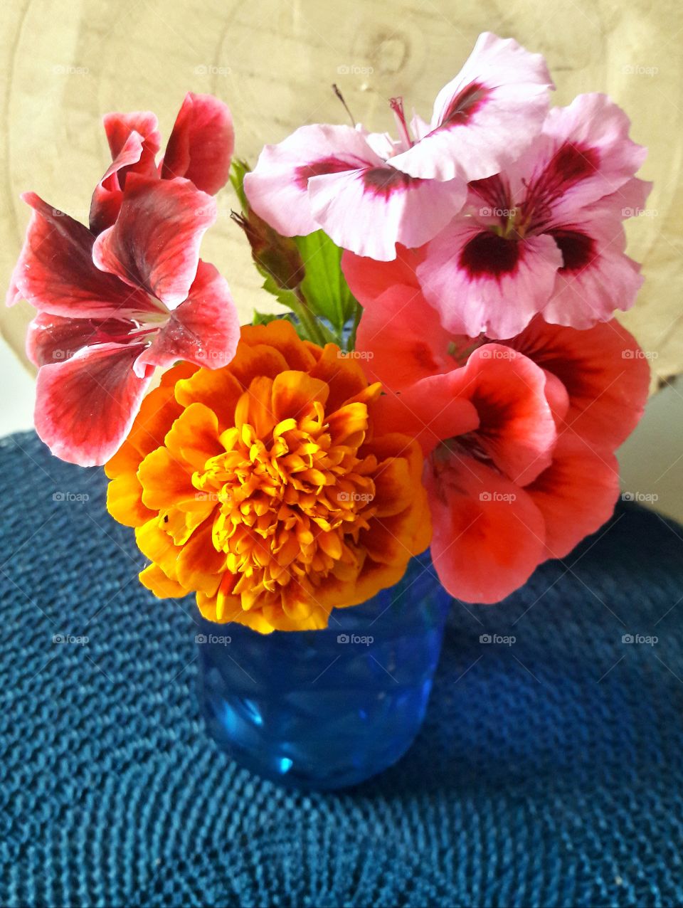 i picked a few flowers from my little garden, it always makes me happy to see the beautiful colors.