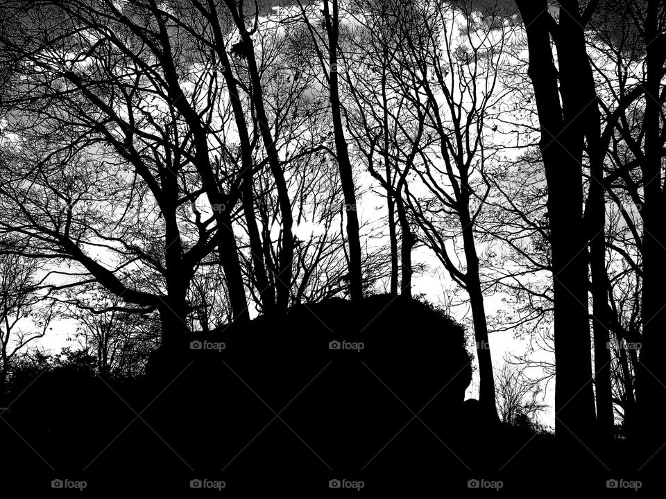 Silhouette of trees and rocks 