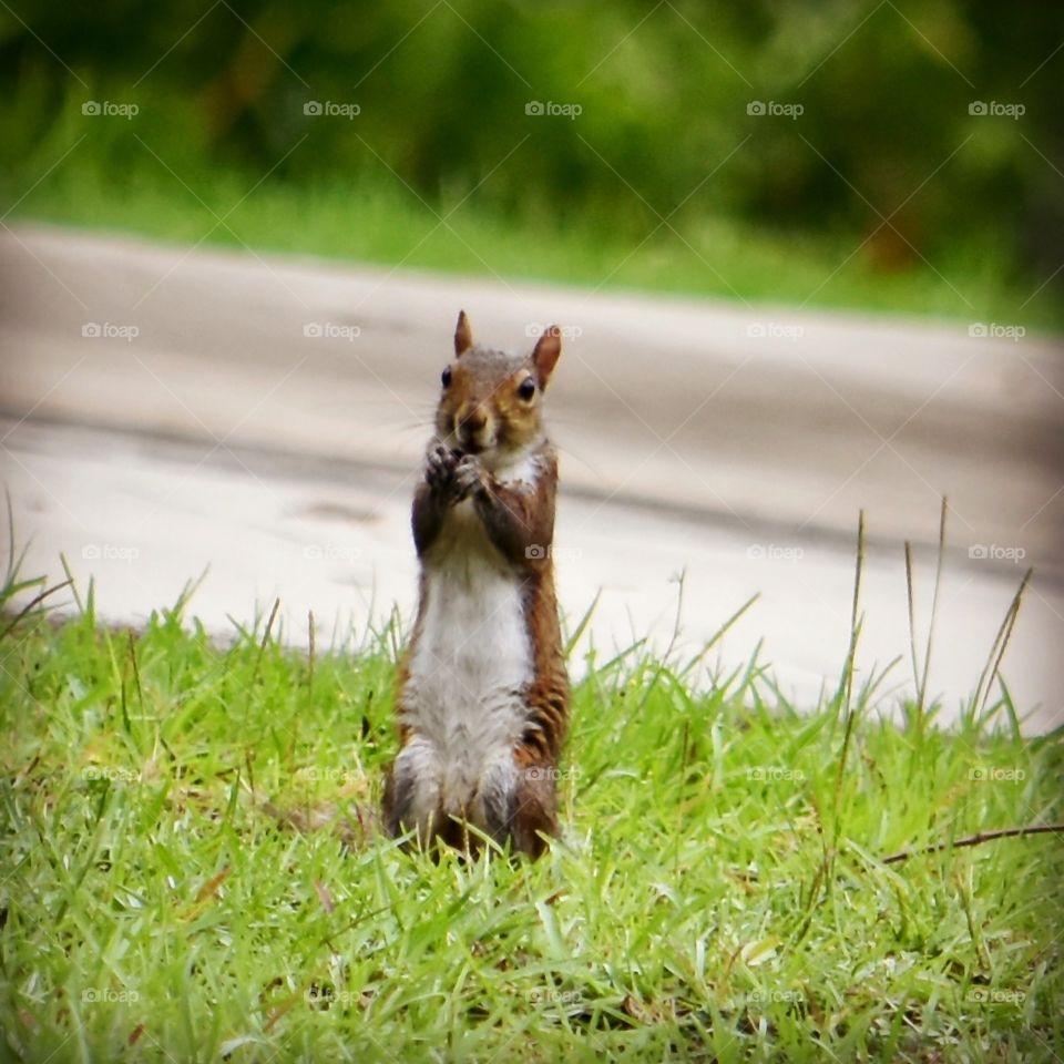 Hey you! Have a great day!