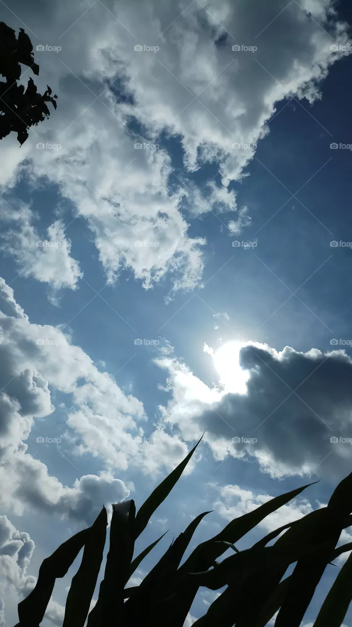 BBB.evening sky nature's... sunshine and blue sky with cloudness..like wonderful views.
