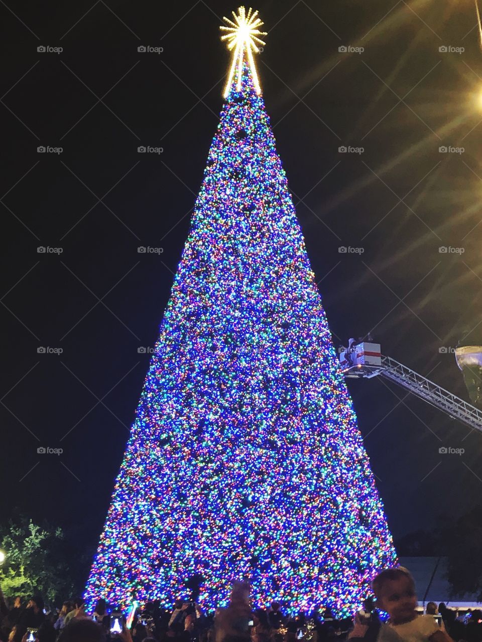Tree of lights 