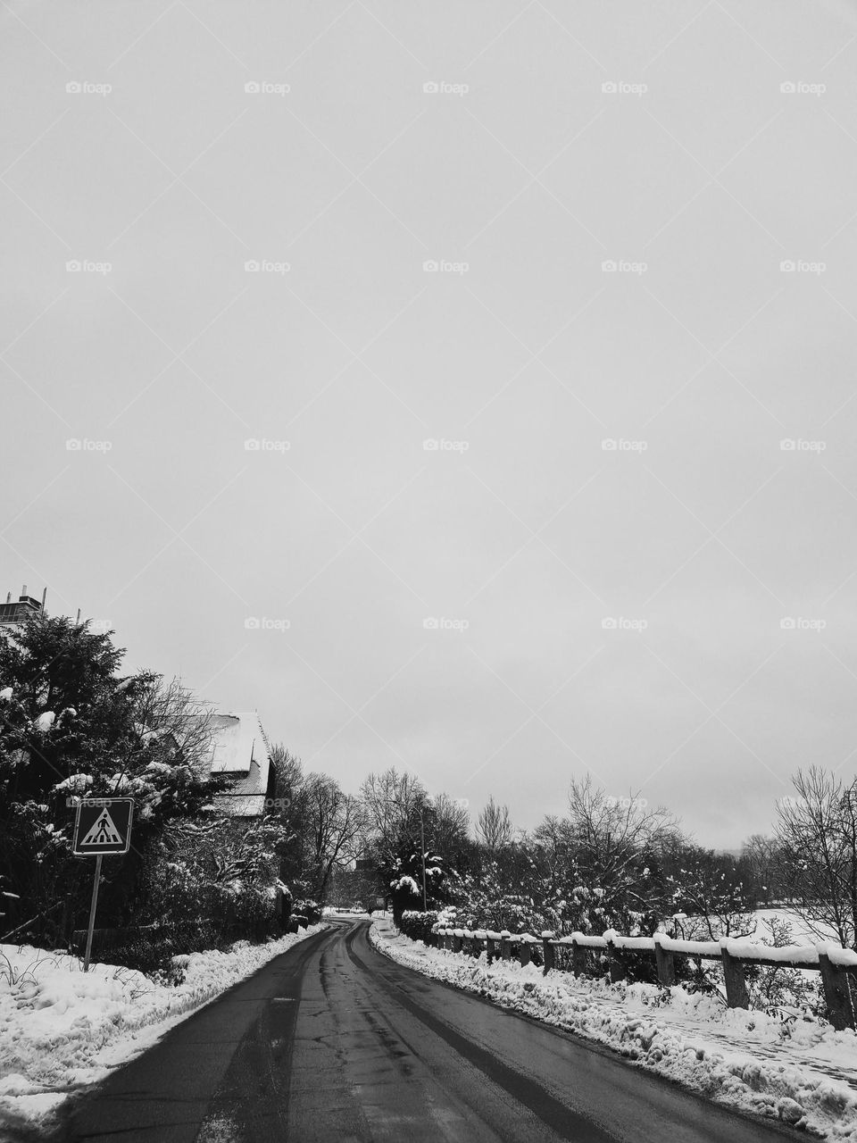 I love monochrome pictures especially in winter. I took this picture on one of my walks this winter