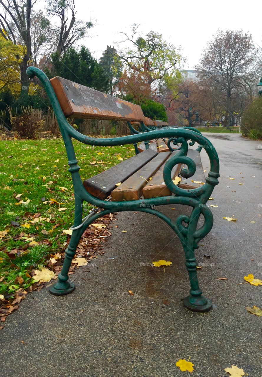 Park Bench