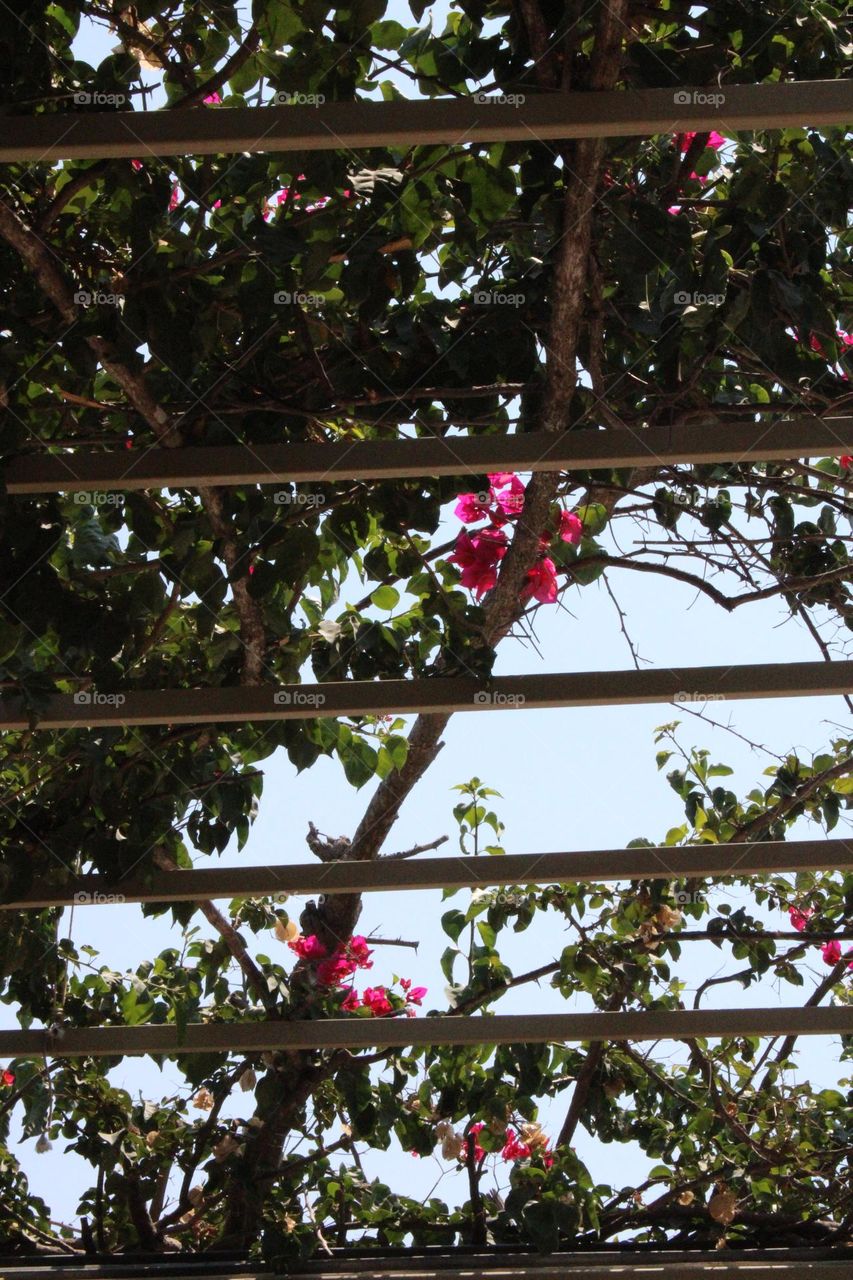 Spring season 🌸🌸🌸🌸🌸🌸🌸🌸🌸