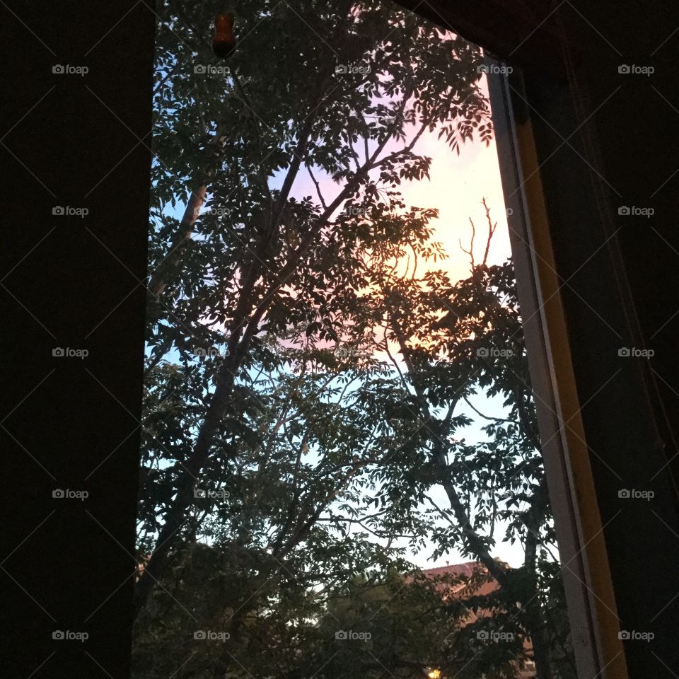 window with sunset behind trees