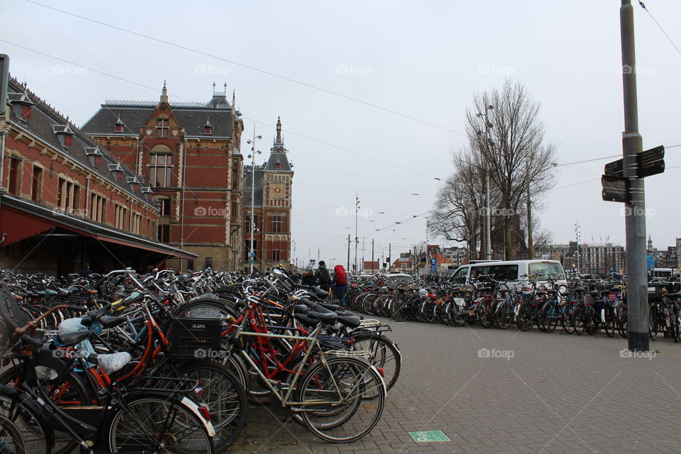 Bikes galore