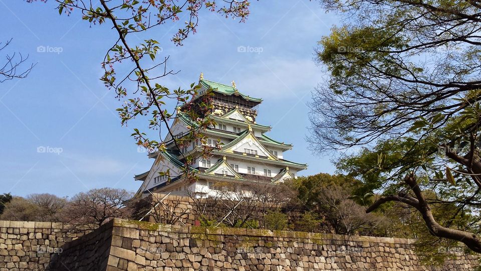 Osaka Castle. I visited the castle this past spring and fell in love with its beauty.