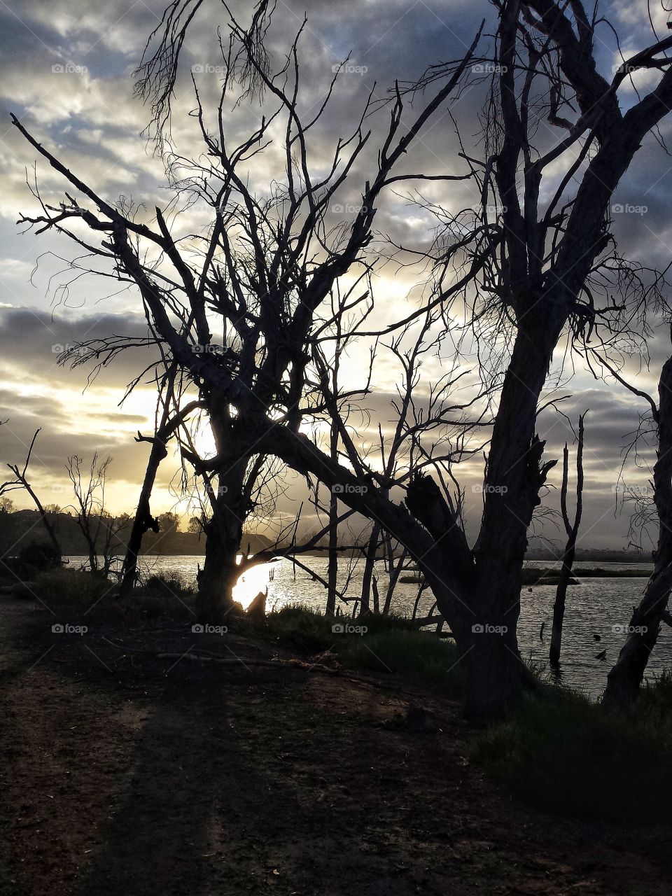 Seeing the sunset in solitude at the nature preserve