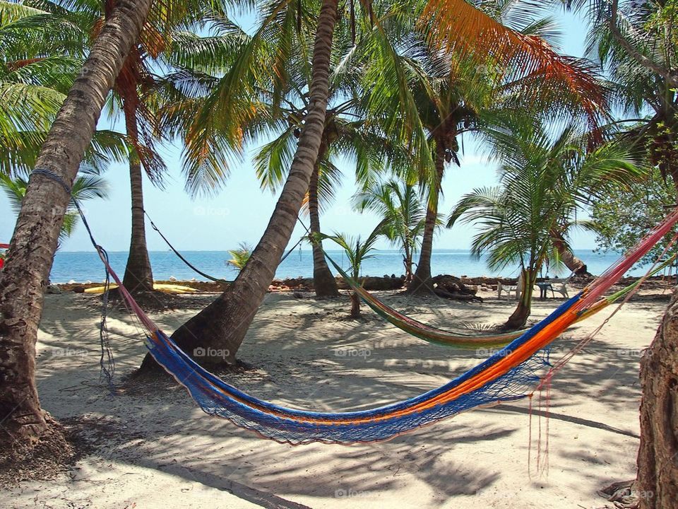Hammocks on the island